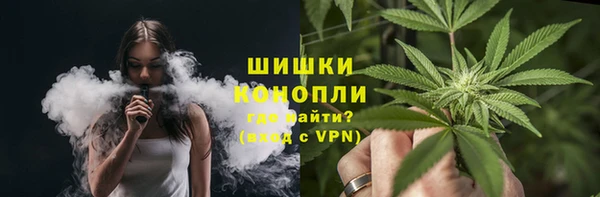 apvp Иннополис