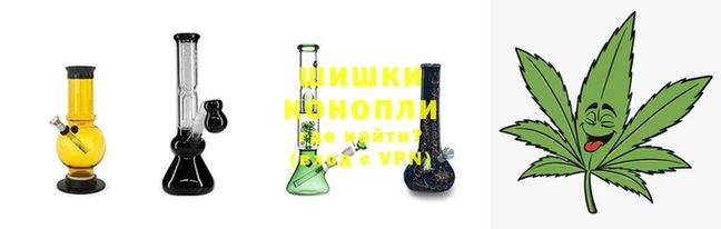 кокс Инсар