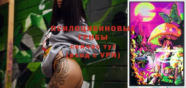 apvp Иннополис