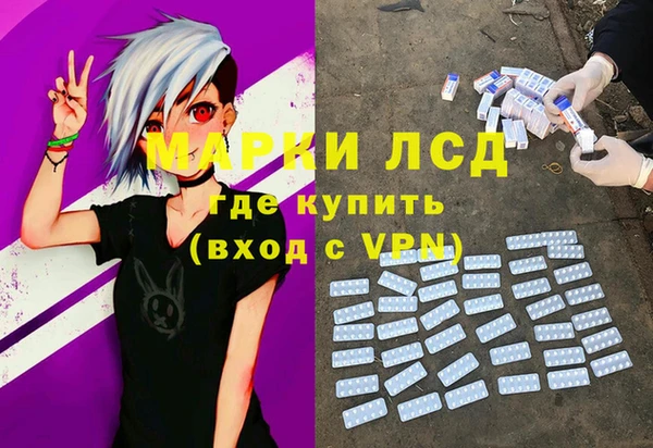 apvp Иннополис