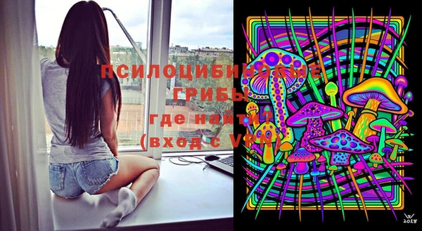 apvp Иннополис