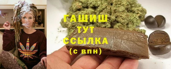 apvp Иннополис