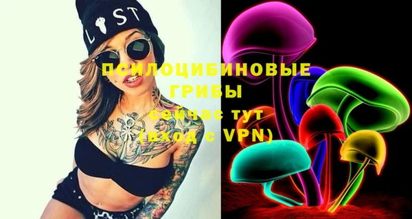 apvp Иннополис