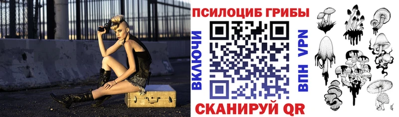 Купить где  Светлогорск  Галлюциногенные грибы Cubensis 